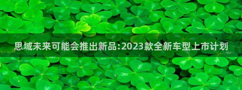 壹号大舞台28国际大舞台：思域未来可能会推出新品:2023款全新车型上市计划