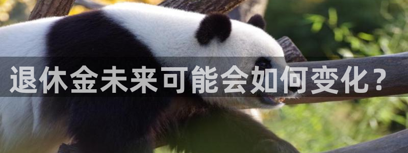 万事娱乐,com：退休金未来可能会如何变化？