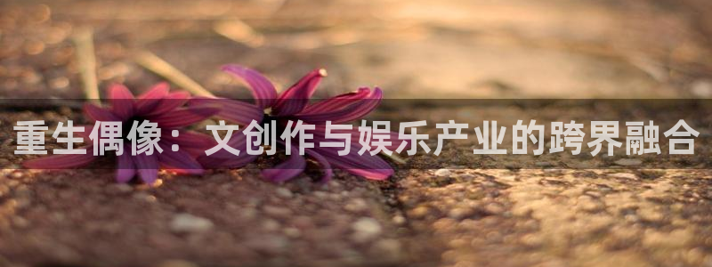 万事娱乐强制退款流程详解：重生偶像：文创作与娱乐产业的跨界融合