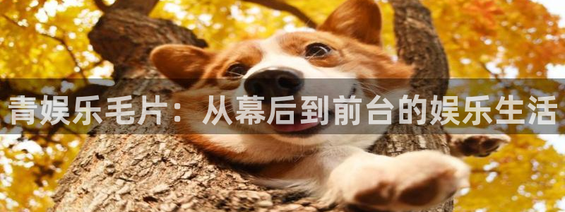 万事娱乐网址：青娱乐毛片：从幕后到前台的娱乐生活