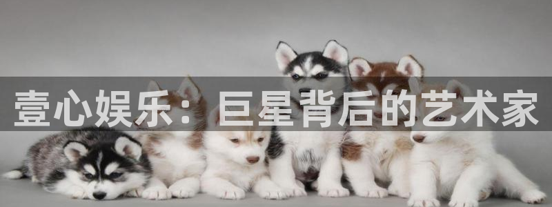 万事娱乐app下载：壹心娱乐：巨星背后的艺术家