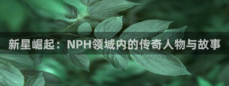 万事娱乐app：新星崛起：NPH领域内的传奇人物与故事