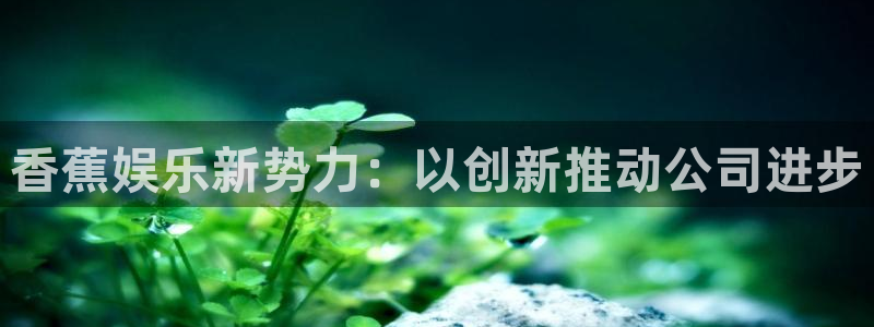 壹号大舞台怎么注册：香蕉娱乐新势力：以创新推动公司进步