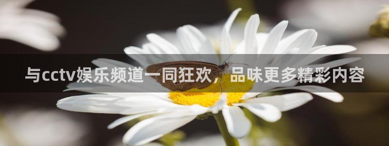 万事娱乐官网：与cctv娱乐频道一同狂欢，品味更多精彩内容
