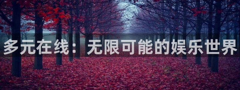 壹号国际app免费下载安装