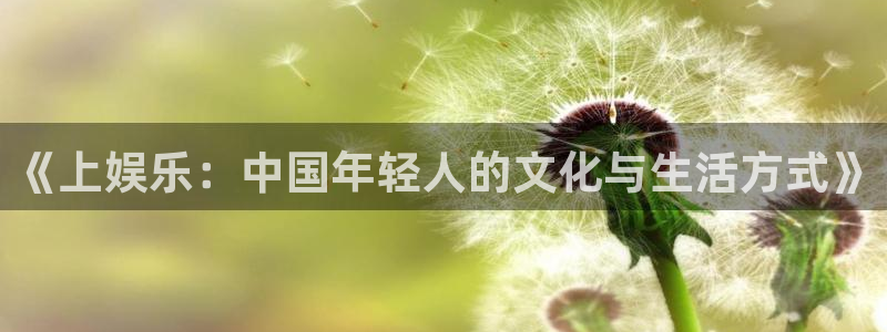 万事娱乐app：《上娱乐：中国年轻人的文化与生活方式》