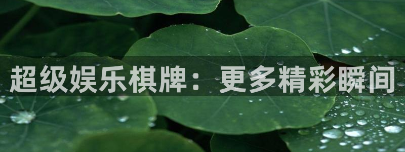 万事娱乐网站：超级娱乐棋牌：更多精彩瞬间