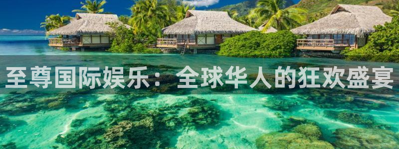 万事娱乐 - ng大舞台,有梦你就来：至尊国际娱乐：全球华人的狂欢盛宴