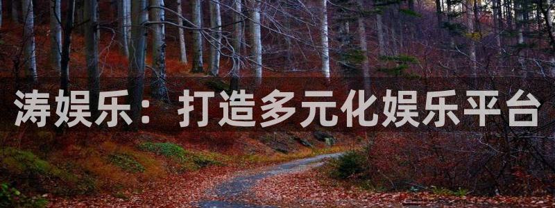 壹号平台下载安装官网：涛娱乐：打造多元化娱乐平台