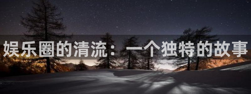 壹号平台娱乐：娱乐圈的清流：一个独特的故事