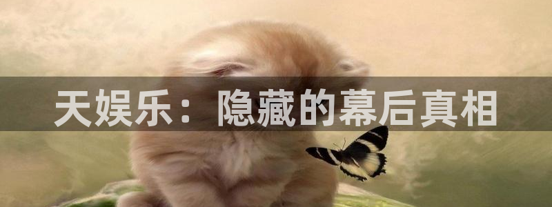 伟德国际集团 壹号(one game)：天娱乐：隐藏的幕后真相