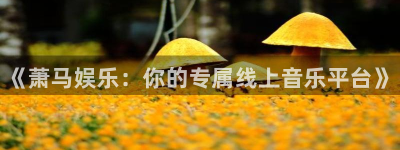 万事娱乐app：《萧马娱乐：你的专属线上音乐平台》