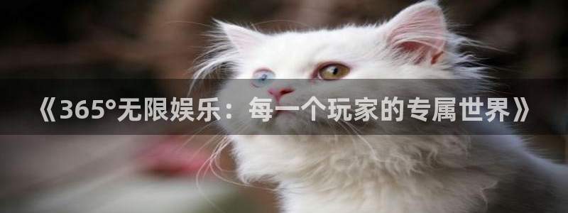 壹号平台下载：《365°无限娱乐：每一个玩家的专属世界》