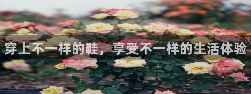 万事娱乐下载：穿上不一样的鞋，享受不一样的生活体验