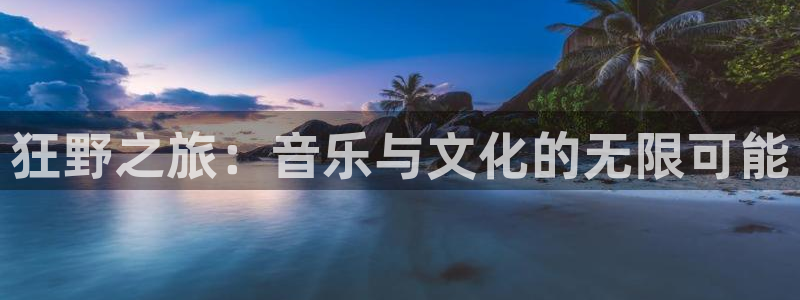 壹号官网app下载安装：狂野之旅：音乐与文化的无限可能
