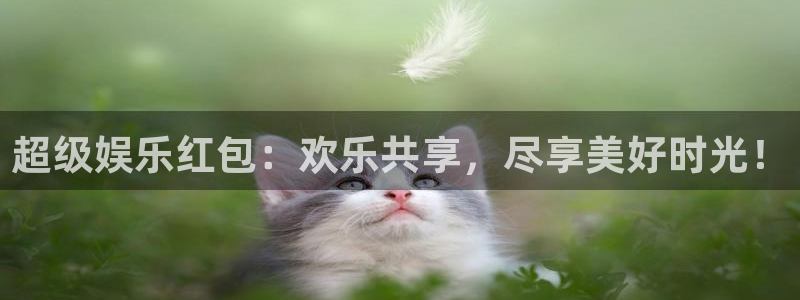 壹号下载安装：超级娱乐红包：欢乐共享，尽享美好时光！