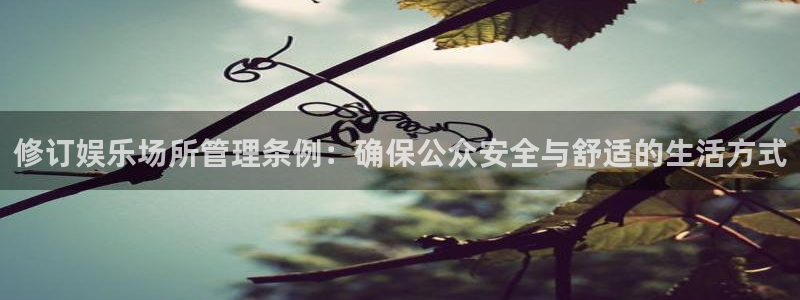 壹号大舞台28国际大舞台