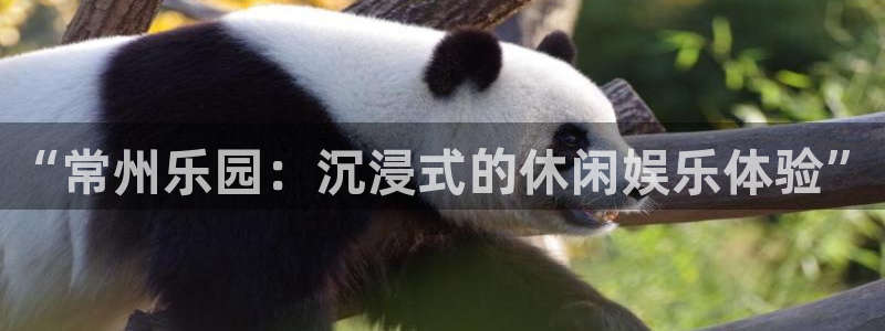 壹号大舞台下载链接：“常州乐园：沉浸式的休闲娱乐体验”