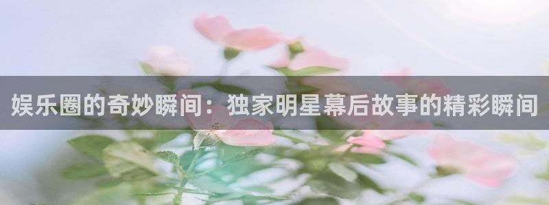 壹号大舞台28国际大舞台：娱乐圈的奇妙瞬间：独家明星幕后故事的精彩瞬间