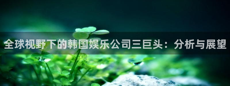 壹号app下载链接：全球视野下的韩国娱乐公司三巨头：分析与展望
