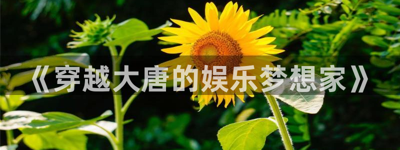 壹号app官方登录入口下载：《穿越大唐的娱乐梦想家》