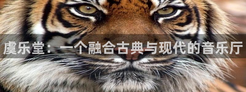 壹号电子娱乐app下载官网：虞乐堂：一个融合古典与现代的音乐厅