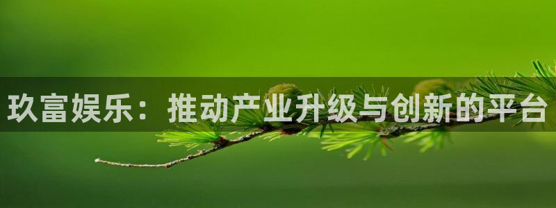 壹号大舞台,有梦你就来：玖富娱乐：推动产业升级与创新的平台