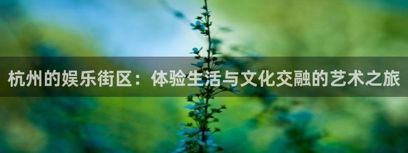 万事娱乐app入口：杭州的娱乐街区：体验生活与文化交融的艺术之旅