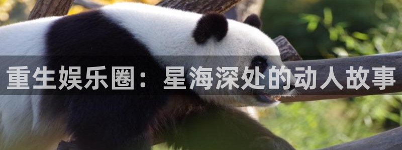 万事娱乐下载：重生娱乐圈：星海深处的动人故事