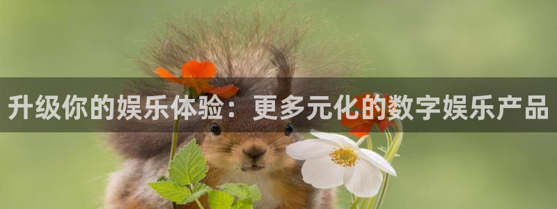 壹号大舞台娱乐传媒：升级你的娱乐体验：更多元化的数字娱乐产品